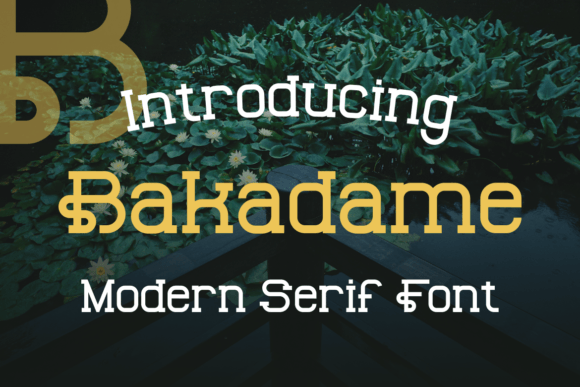 Bakadame: The Unique Display Font for Scroll-Stopping Campaigns